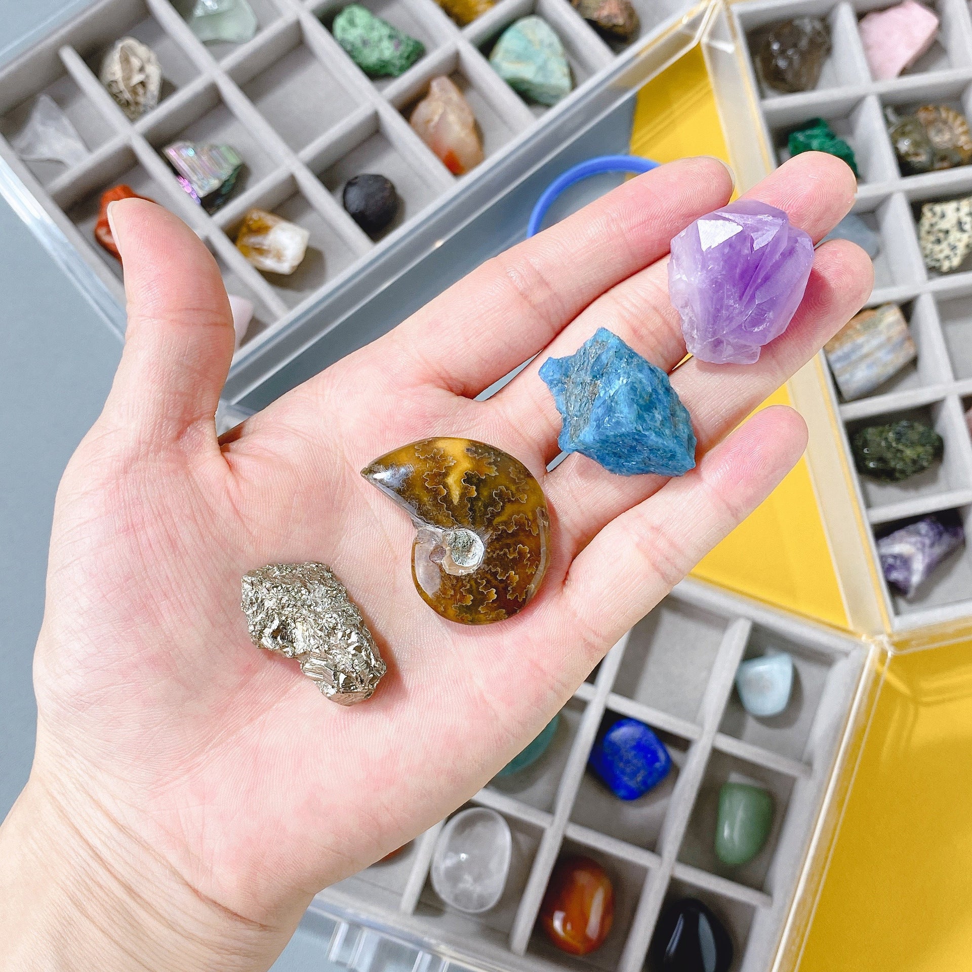 Natural Crystal Raw Stone Children's Gem Ore Specimen Box